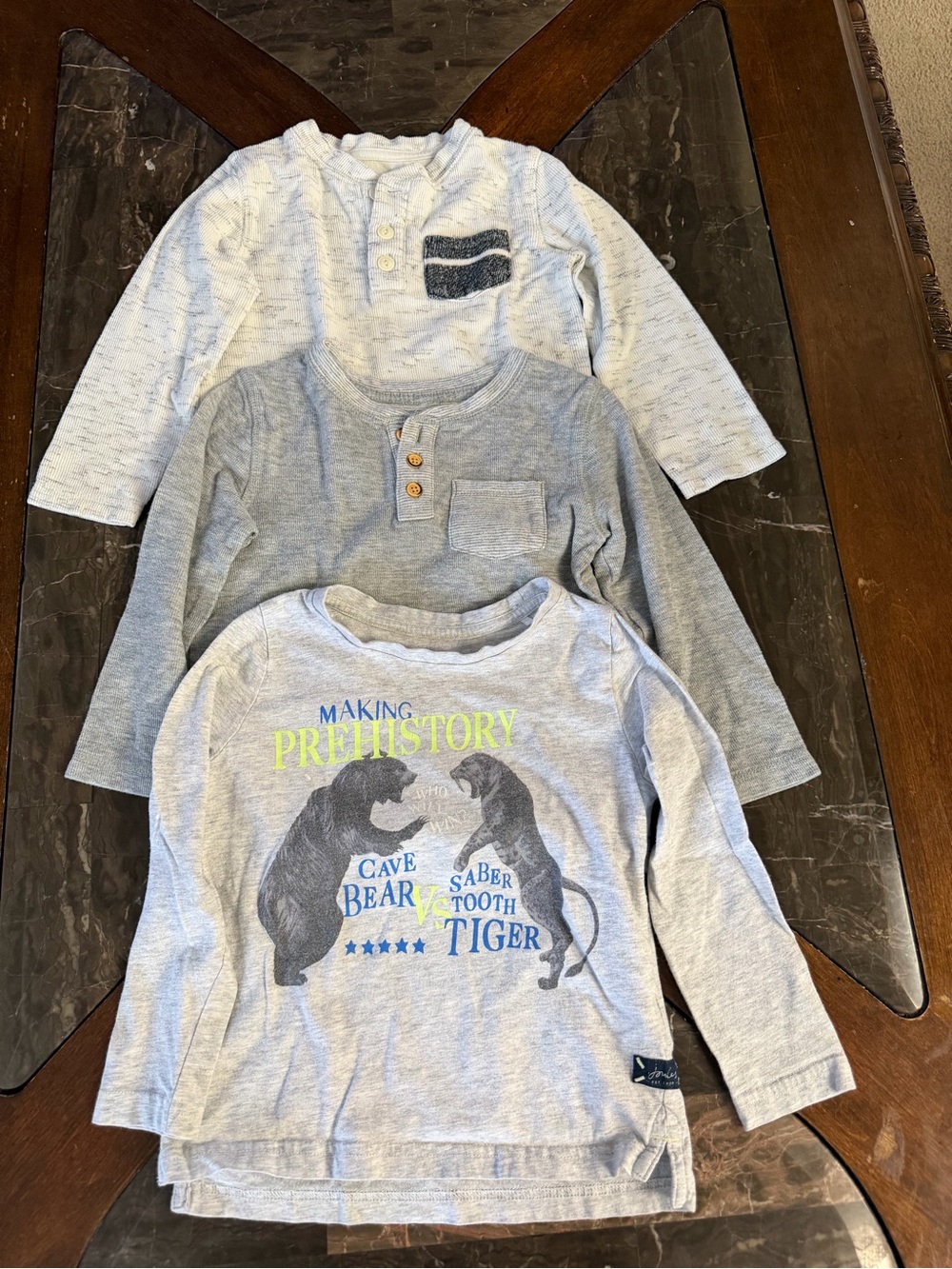 Joules Light Gray Long-Sleeve Graphic Tee with Prehistory Print and 2 cat jack